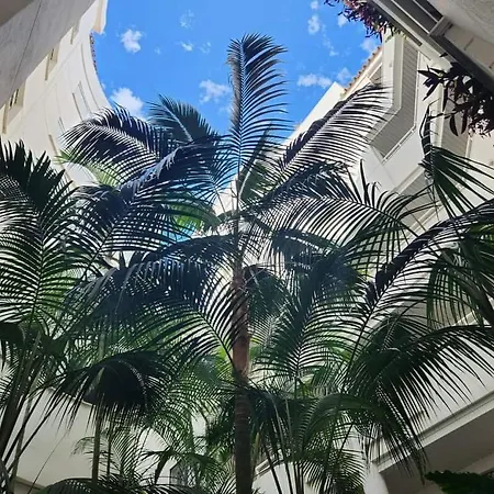 Beachfront إِستيبونا