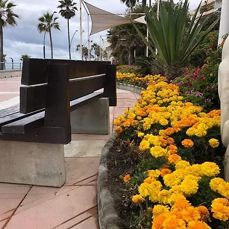 Beachfront Appartement